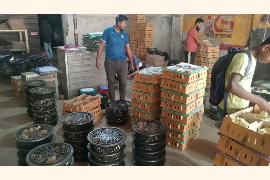 Workers putting in right order cages of poultry birds before loading those into a vehicle, which is set to start from Bogura's local market toward Dhaka. — FE Photo