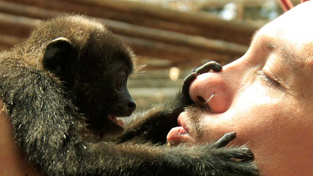 A tourist kisses a monkey at the Jaguar Animal Rescue Center in Puerto Viejo de Limon, Aug 25, 2010. REUTERS