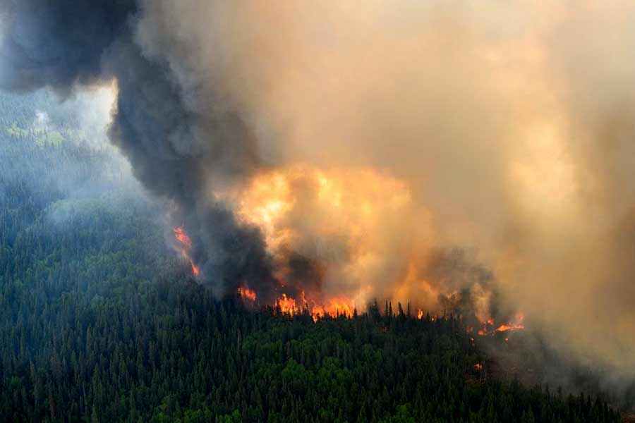 Flames reaching upwards along the edge of a wildfire as seen from a Canadian Forces helicopter surveying the area near Mistissini of Quebec on June 12 this year –Reuters file photo