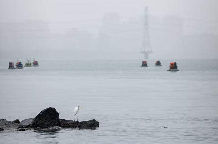 A bird stands on a rock on Tamsui River, with explosive barrels placed by Taiwan military visible in the background, which are part of a series of emergency combat readiness drills, in response to China conducting "Justice Mission 2025" military drills around Taiwan, in Taipei, Taiwan, December 31, 2025. REUTERS/Ann Wang