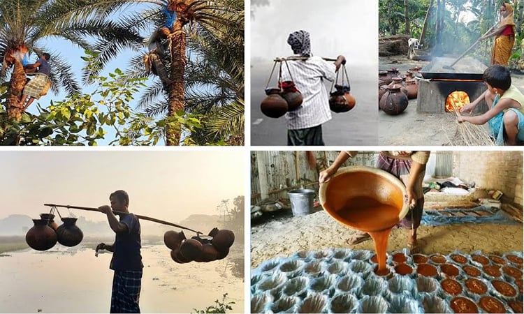 A youth grower in Dinajpur’s Nawabganj upazila has achieved self-reliance by selling date palm juice, turning a traditional practice into a profitable business. Faruk Hossain, 34, a date palm farmer from Taikhur village, has been collecting and selling date juice for the past 8–10 years during the cold (winter) season, from Kartik to Falgun. Over the years, he has become a skilled date palm cultivator and is now widely recognized in the area for his work. Before winter begins, many local date palm tree owners contact Faruk to collect juice from their trees. He starts preparations in Ashwin month, working 8–10 hours daily to ensure a smooth collection process. Currently, he manages 67 trees, leased from various families in his village, and collects an average of 125–140 liters of juice each day. Every day, around 280 to 300 customers visit him to drink the juice or take bottles home. Faruk works with 8–10 assistants who brave the cold to collect sap from dawn to dusk. Each afternoon, they cut a hole at the top of the trees, attach an earthen pot or plastic bottle, and collect sap that drips through tubes overnight. The juice is either sold raw or processed into patali and red jaggery. Raw juice currently sells for Taka 50 per liter, while jaggery is priced at Taka 320–350 per kilogram. Faruk earns an average of Taka 4,500–5,000 daily, with total income for the season reaching Taka 4–4.5 lakh. Local farmers, including Saiful and Jabed Ali from Shalkhuria village, praised the high demand for date juice and jaggery, noting that collectors often have little time to rest due to the workload. Customers, such as Shariful Islam and Moen Uddin, emphasized the superior taste of fresh juice and homemade jaggery, especially in winter pitha. Md. Jahidul Islam, Agriculture Officer of Nawabganj Upazila, highlighted the nutritional and cultural value of date juice and stressed the importance of hygiene in its collection and storage. “If production increases, it will positively impact the rural economy,” he said. Md. Afzal Hossain, Deputy Director of Department of Agricultural Extension (DAE), commended farmers like Faruk for sustaining this traditional practice while earning a livelihood. “Many will benefit and prosper by engaging in this profession,” he added.
