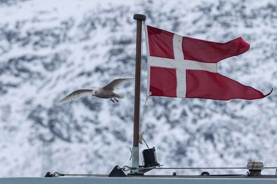 A seagull flies past the Danish military Offshore Patrol Vessel P570 HDMS Knud Rasmussen in Nuuk, Greenland, Jan 16, 2026.