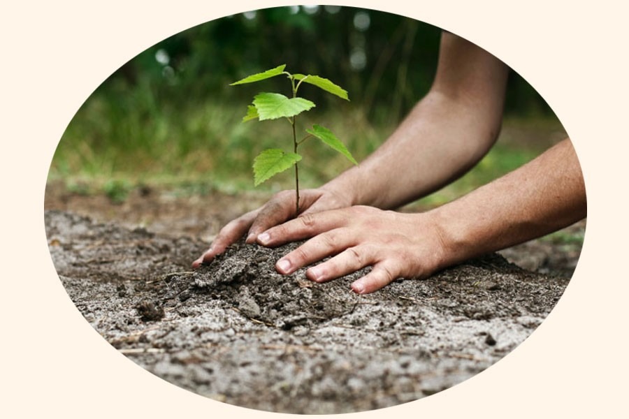 Reprensentational image