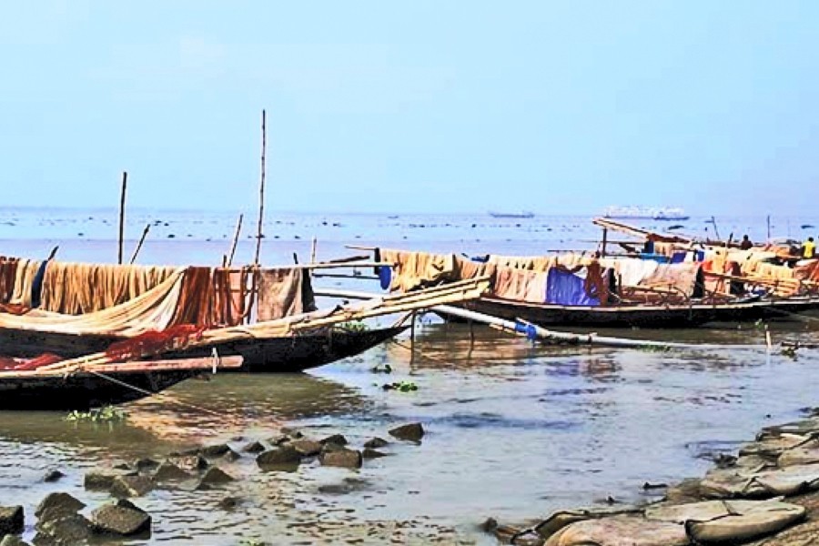 Banned varities of nets are being dried in sun beside river banks at Ronagowal area near Puranbazar of Chandpur town-FE Photo