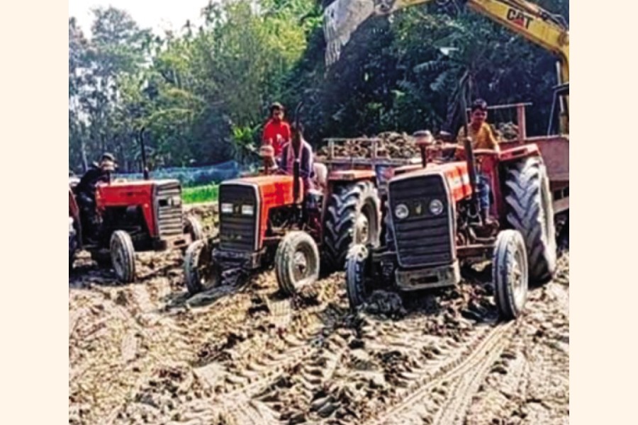 A view of extracting topsoil from farmland in Gupter Beel in Harani Durgapur village under Char Dukhia Union of Faridgonj Upazila in Chandpur — FE Photo