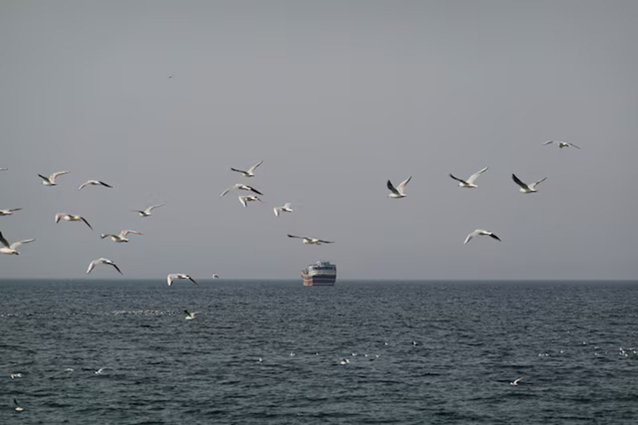 Birds fly near a boat in the Strait of Hormuz amid the U.S.-Israeli conflict with Iran, as seen from Musandam, Oman on March 2, 2026 — Reuters photo