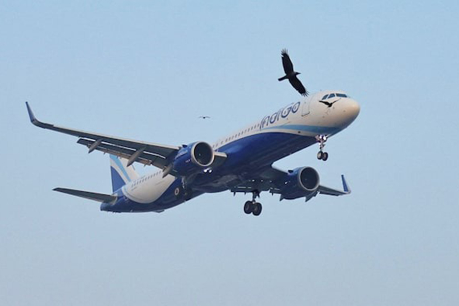 Birds fly past an Indigo flight as it prepares to land at the Chhatrapati Shivaji Maharaj International Airport in Mumbai, India on December 6, 2025 — Reuters/File
