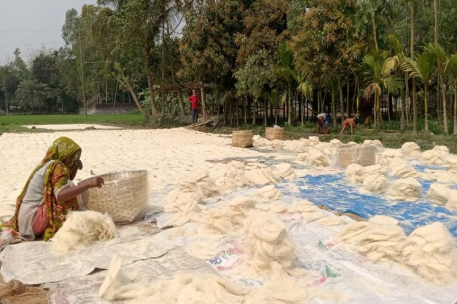 The photo shows female labourers dry vermicelli under the sun ahead of the Eid-ul-Fitr – FE Photo