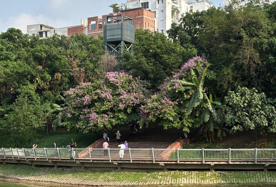 Representational image