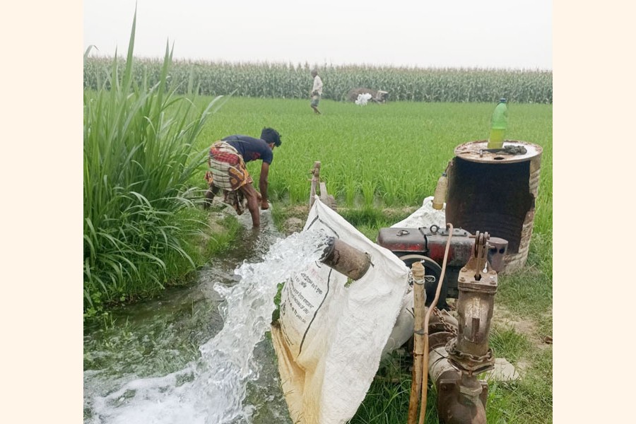 Amid a prevailing diesel supply crunch, a farmer irrigates his Boro paddy to save the crop. The picture was taken on Thursday in Char Ashariadah under Godagari upazila of Rajshahi district- FE Photo
