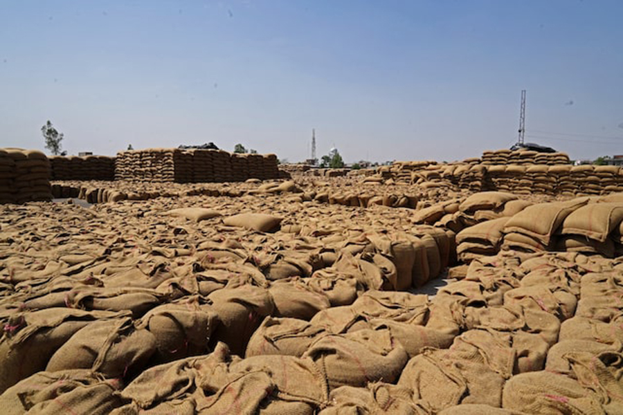Sacks of harvested wheat are seen at a grain market in Gaggarpur village, in the northern state of Haryana, India, on April 25, 2025 — Reuters/File