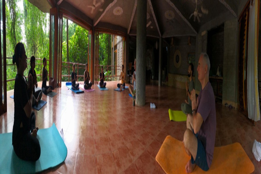 Yoga in the wild. Slow mornings, deep presence. All part of The Flow Fest Wellness Retreats.