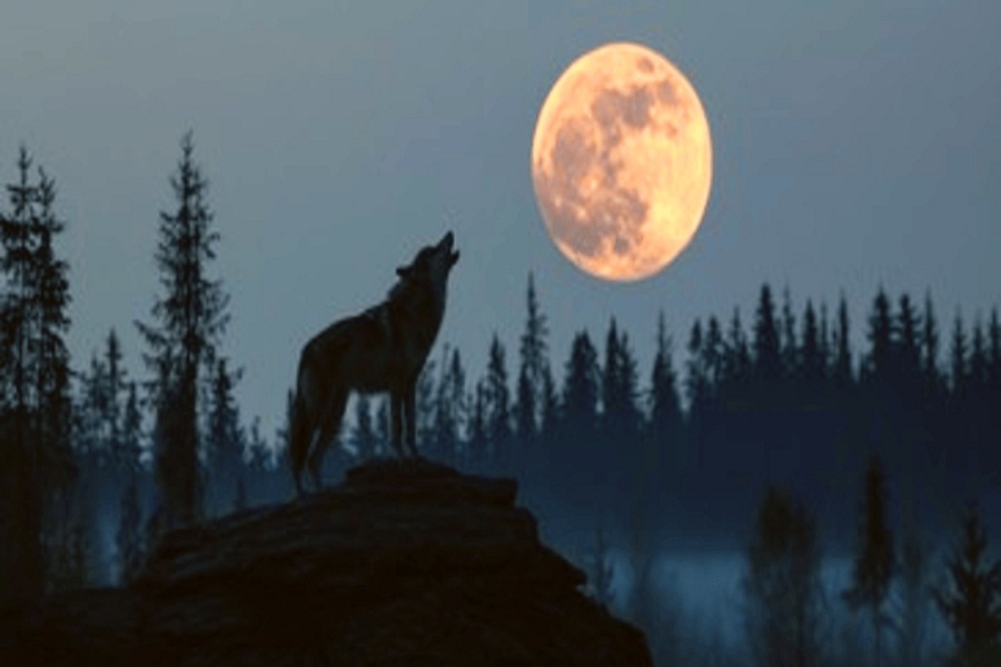 Representational image