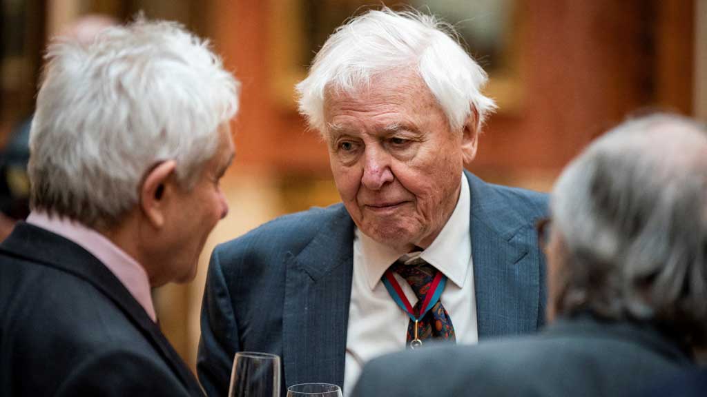 FILE PHOTO: Sir David Attenborough during a luncheon for Members of the Order of Merit at Buckingham Palace, London, Britain. Picture date: Thursday Nov 24, 2022. Aaron Chown/Pool via REUTERS