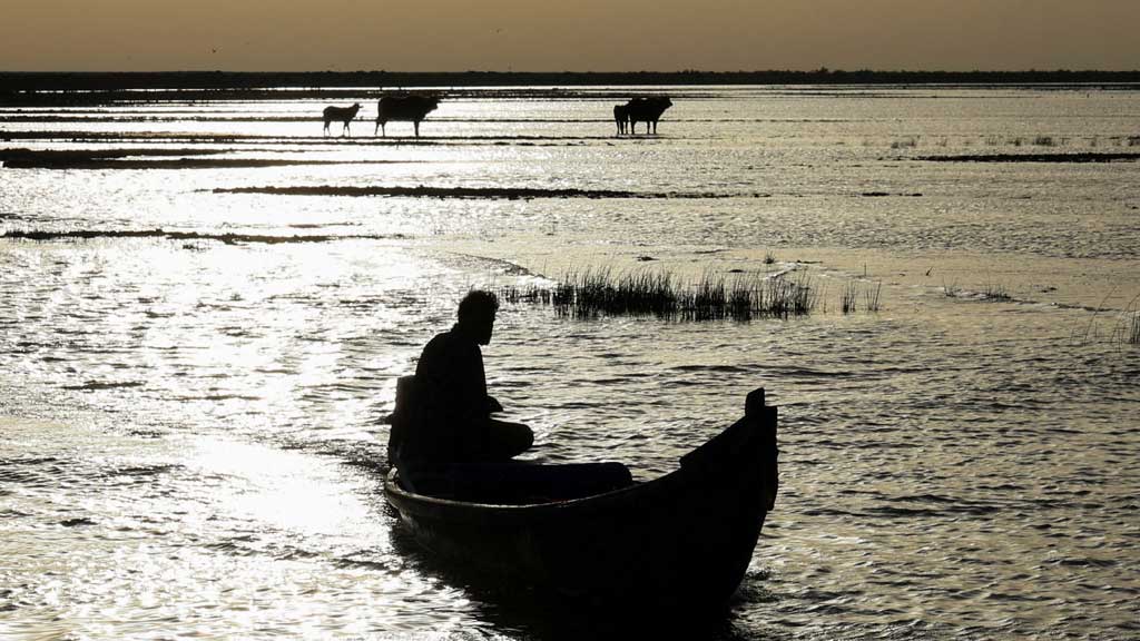 A man steers a boat at sunrise at the Chibayish marshes in Dhi Qar province, Iraq, May 7, 2026. Photo: Reuters