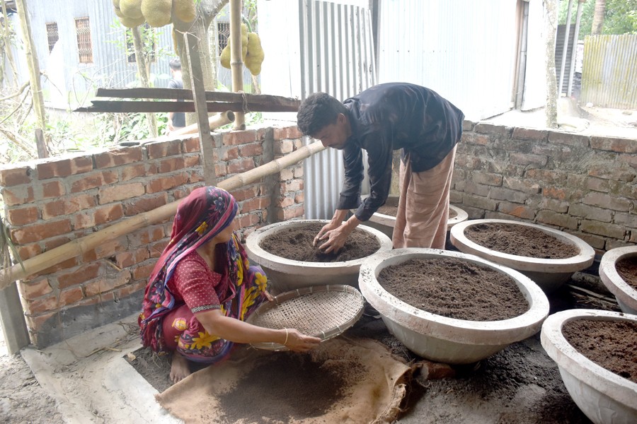 Two farmers producing vermicompost, as an alternative to chemical fertiliser, at Kanaigor village in Singair upazila of Manikganj district- FE Photo