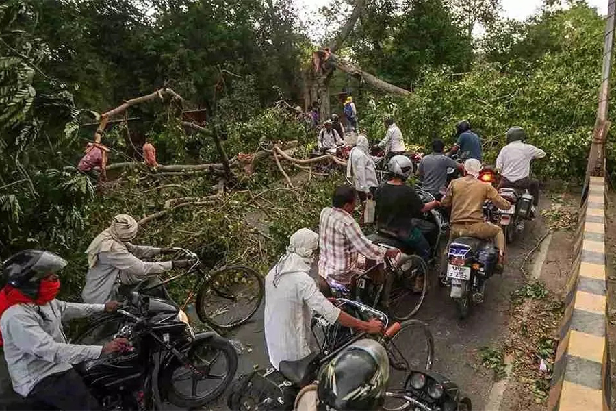 Commuters make their way through an uprooted tree lying on a road after a dust storm in Prayagraj, Uttar Pradesh on Wednesday, May 13, 2026 — PTI photo via The Sen Times