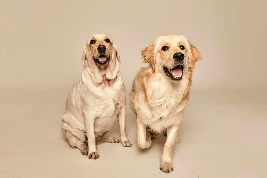 Representational image