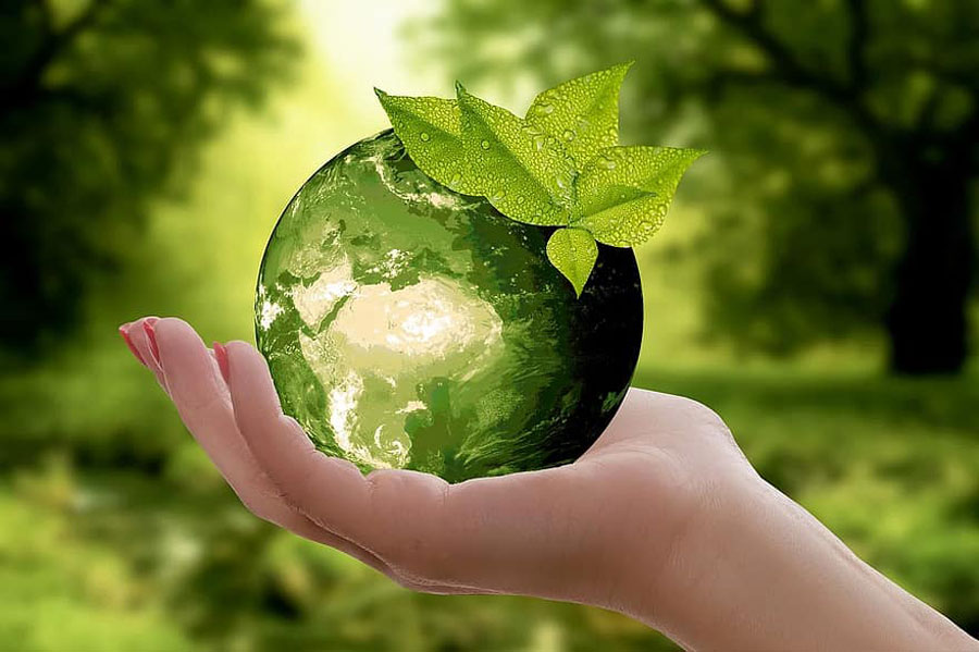 World Environment Day: call for a habitable world | The Financial Express