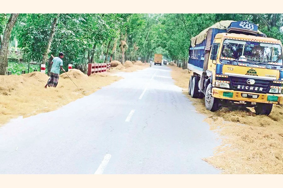 Farmers are drying crops and straw, oppupying paved roads, creating hazards for vehicles and commuters. The photo was taken from Rangpur- Dinajpur highway at Gorematha in Mithapukur upazila of Rangpur district- FE Photo
