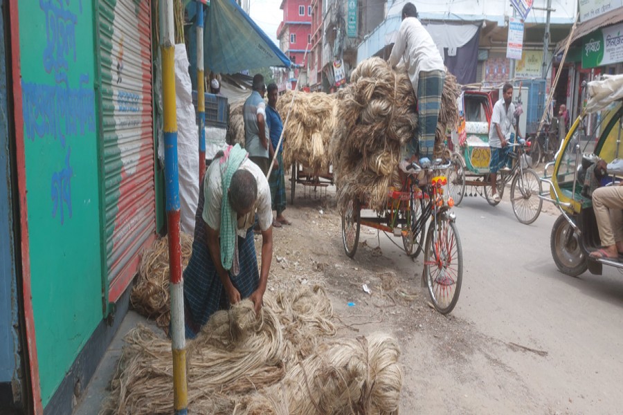 Photo shows farmers returning home with their unsold jute in the Natun Bazar area of Magura town — FE Photo