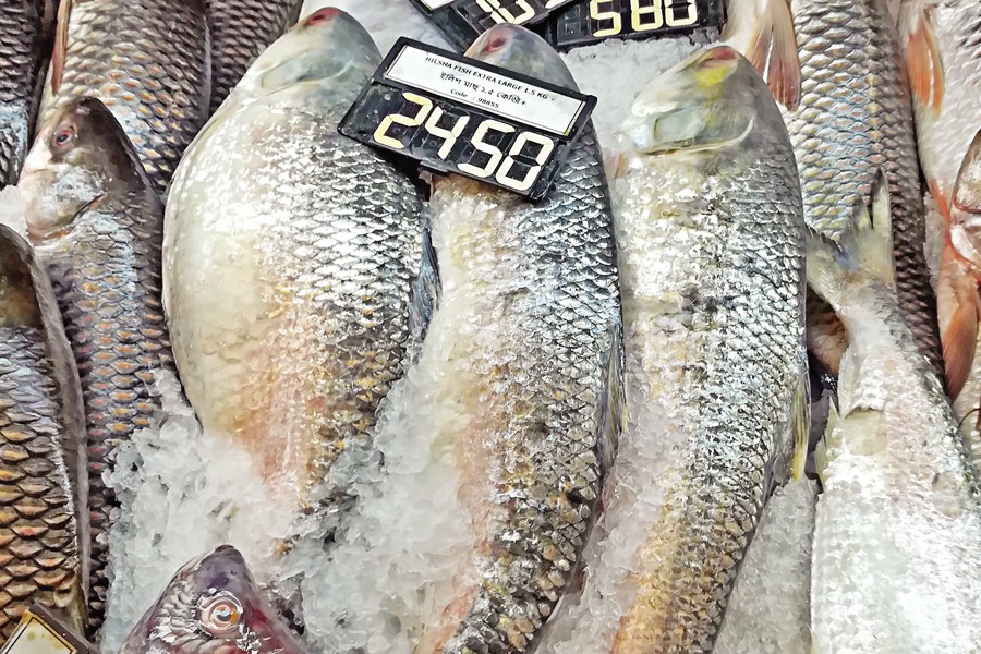 Following the government's decision to allow export of hilsa to neighbouring India, prices of the most sought-after fish have gone up in city markets. — FE photo