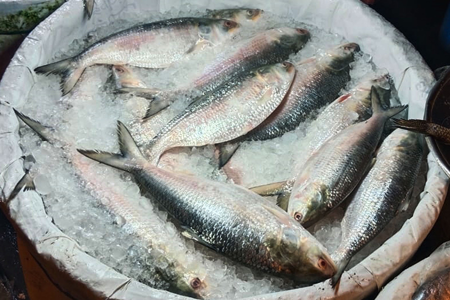 Focus Bangla file photo