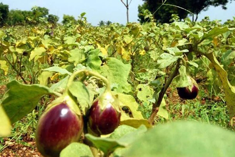 Representational photo