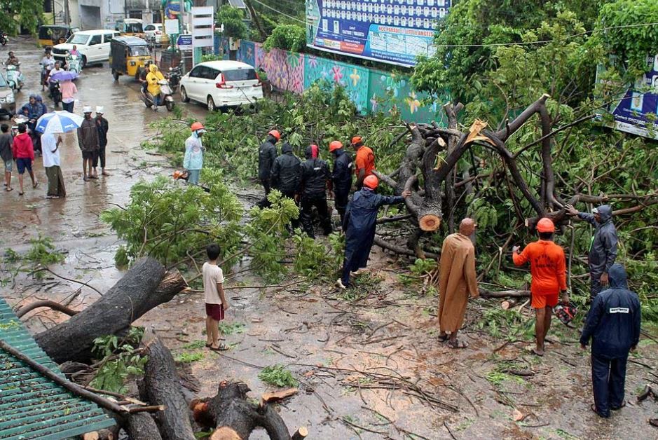 Members of Andhra Pradesh State Disaster Response Force (APSDRF) cut the branches off a fallen tree after Cyclone Michaung made landfall, in Nellore district, in the southern state of Andhra Pradesh, India, December 5, 2023. REUTERS/Stringer