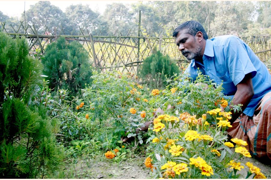 The photo shows a gardener taking care of flower plants at Bonani in Bogura district town — FE Photo