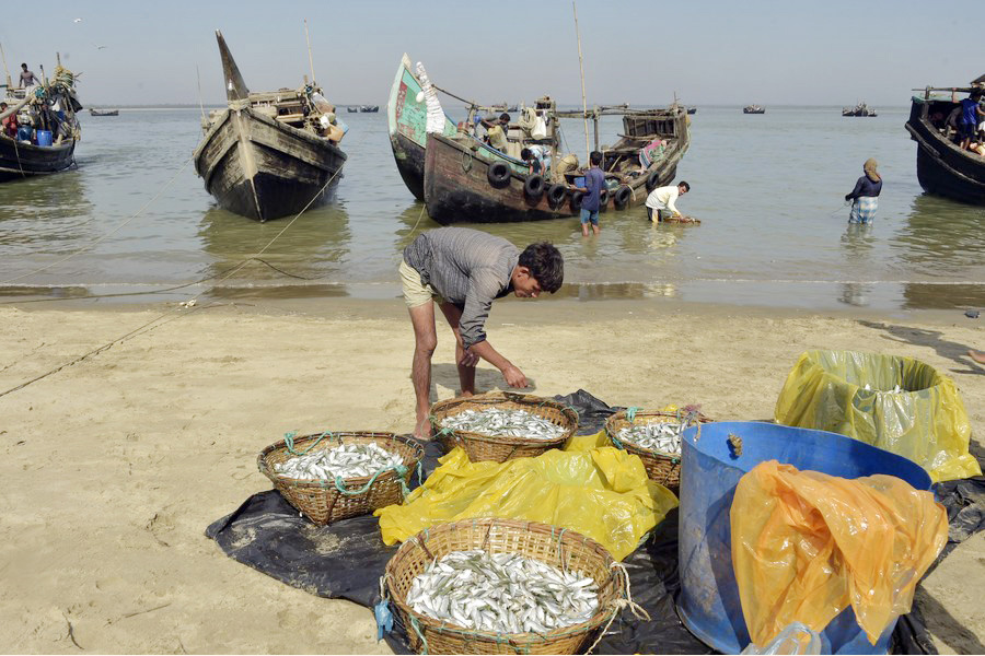 A vendor arranges fish at a spot in Cox’s Bazar, Bangladesh on December 1, 2023. As Bangladesh approaches LDC graduation, securing favourable terms in the on-going fisheries negotiations at MC13 is crucial to sustain and grow this vital sector—Xinhua Photo