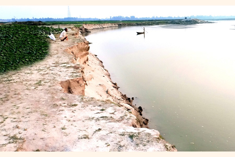 Photographed recently, erosion by the Teesta River drags on, devouring cropland in Shankardaho village under Gangachchara upazila of Rangpur district —FE Photo