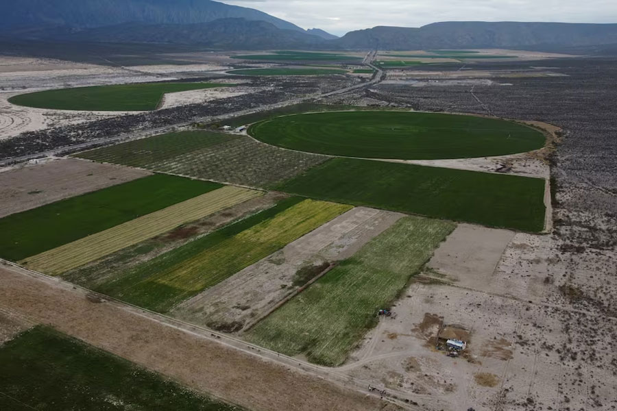 A drone view shows an area of alfalfa crops and other agricultural activities near the ancient oasis of Cuatro Cienagas, in Cuatro Cienegas, state of Coahuila, Mexico March 19, 2024.