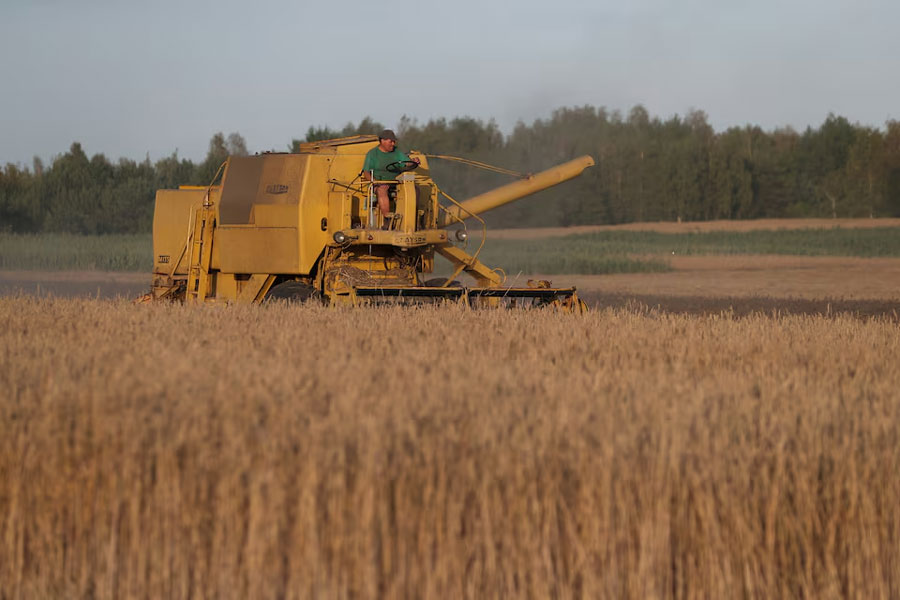 A combine harvester reaps grain at a field near Celinowo Poland July 28, 2022.