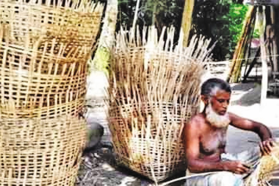An old man busy making bamboo-made cages at Faridganj upazila of Chandpur district — FE Photo