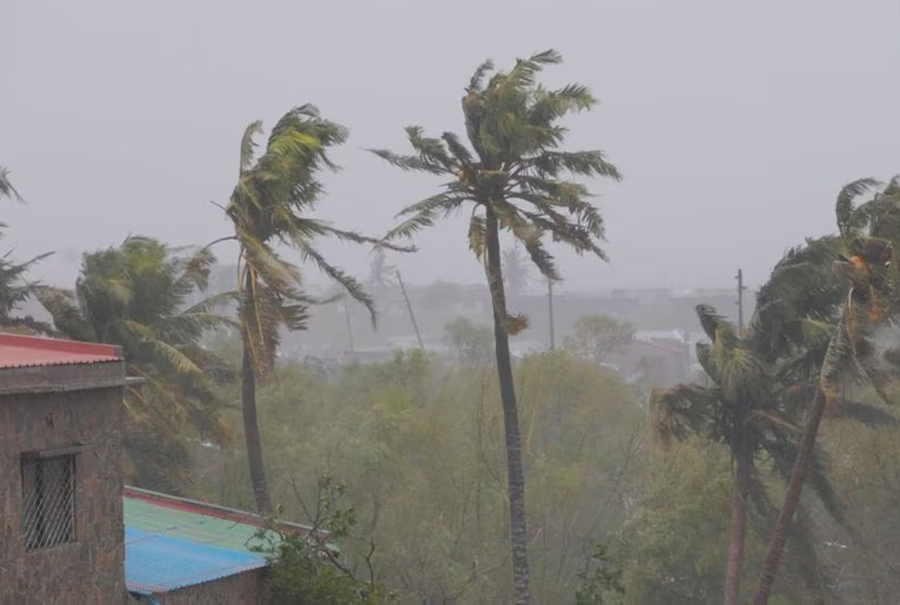 Branches of trees sway as cyclone Freddy hits, in Quelimane, Zambezia, Mozambique, March 12, 2023, in this screen grab taken from a handout video — UNICEF Mozambique/Handout via Reuters