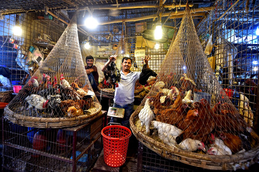 A vendor shows chicken on sale at a mega marketplace in Dhaka. —Xinhua Photo