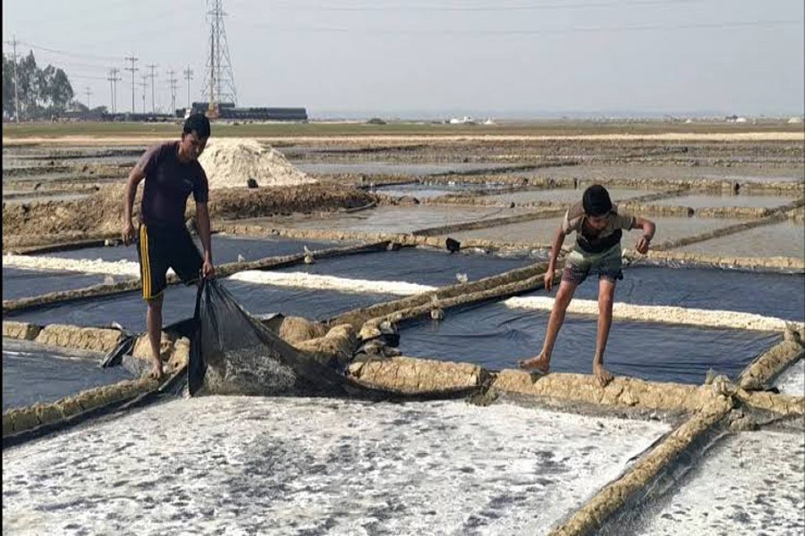 Farmers busy harvesting salt from a field in Cox's Bazar Sadar upazila — FE Photo