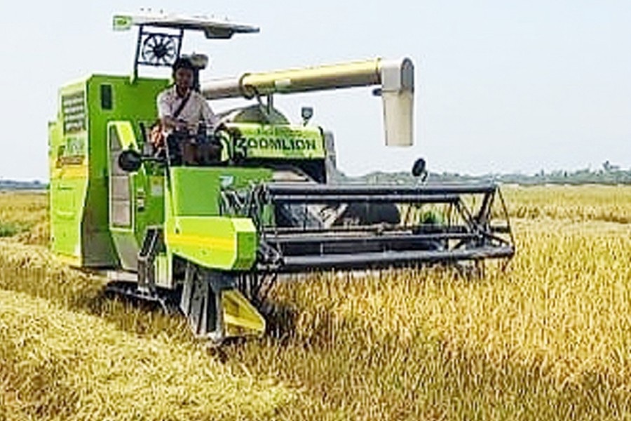 A farmer harvesting Boro paddy by using a combined harvester machine in a hoar area of Sunamganj district — FE Ph