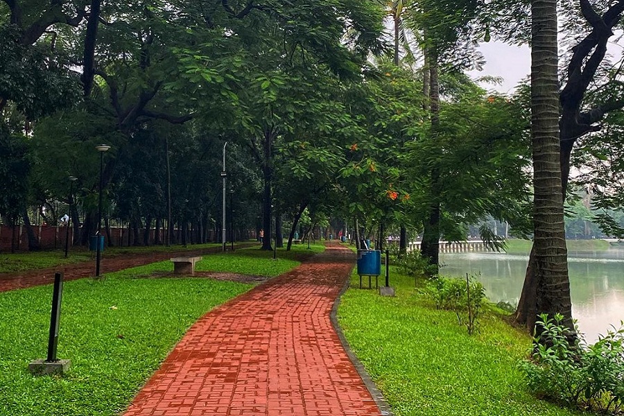 These parks provide peaceful areas for rest, enjoyment, fitness and connecting with nature, offering a break from the rush of daily life.