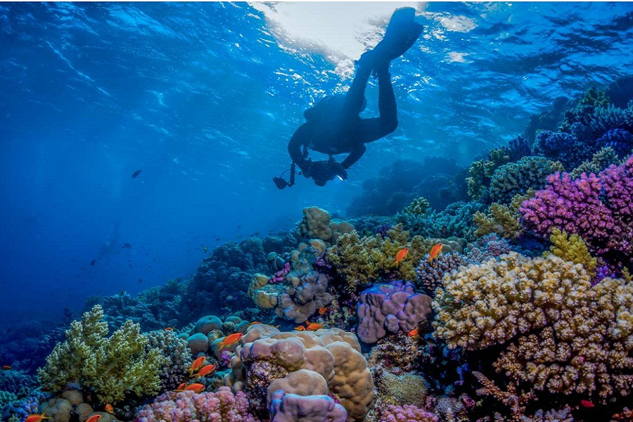 The world's fourth-largest barrier reef system, 90 untouched islands, mountains, and mangroves—all in one place