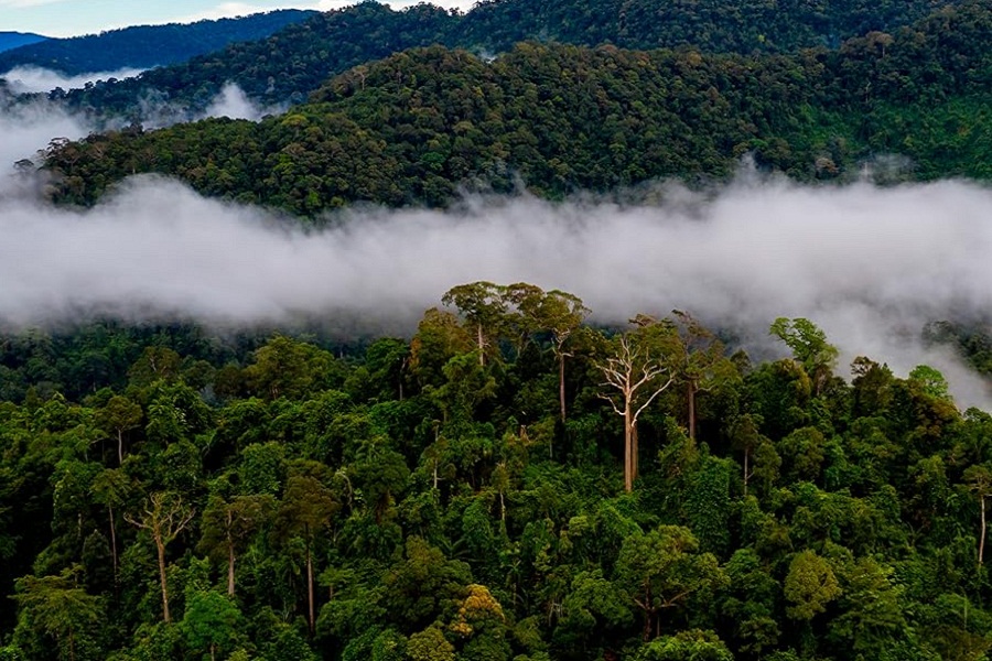 The concept of a flowing river in the air might surprise you, but it's one of nature's whimsical and fascinating miracles