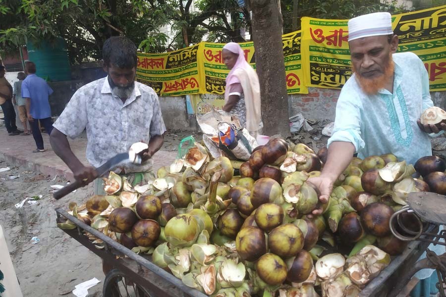 A seller busy preparing palm shells for selling to a buyer. The photo was taken from Khulna city