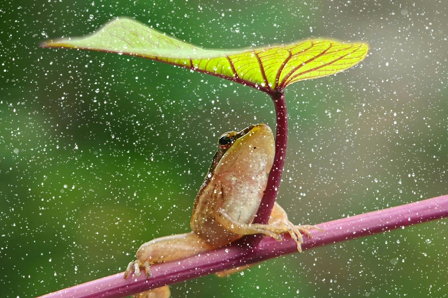 Representational image