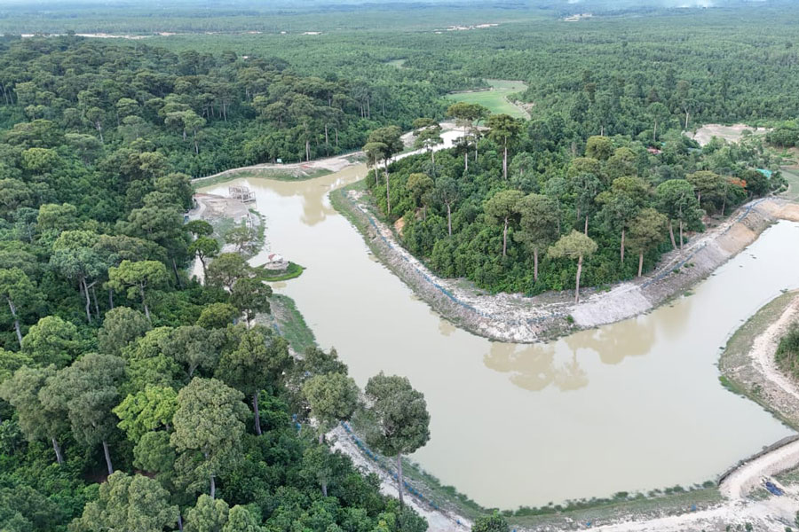 A bird’s-eye view of Medhakachhapia National Park in Cox's Bazar