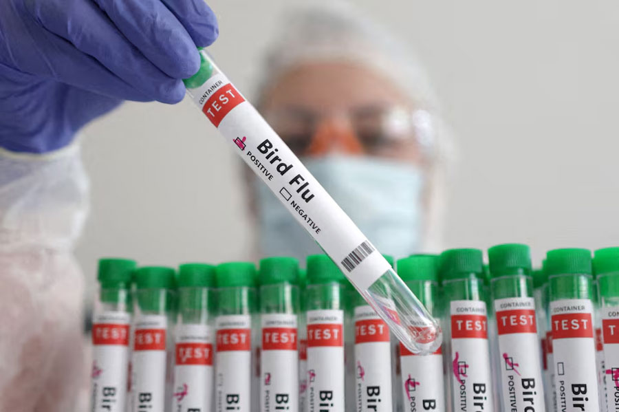 A person holds a test tube labelled "Bird Flu", in this picture illustration, January 14, 2023.