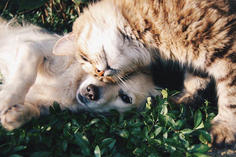 Representational image