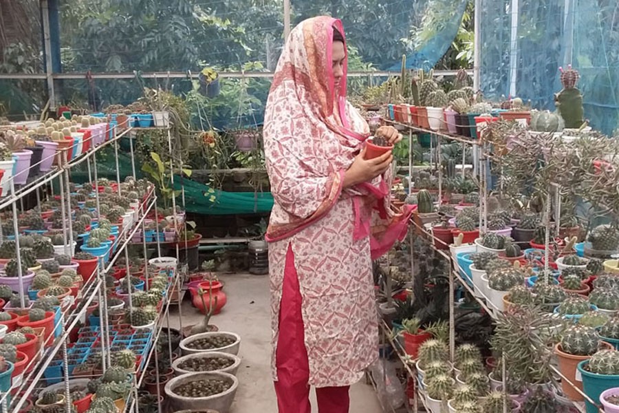 Jannatul Ferdous Juthi, a housewife, taking care of her garden on the rooftop of their house in Ishwardi municipality of Pabna district —FE Photo