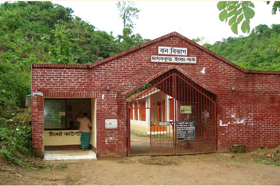 The snap shows an entrance to the deserted Madhabkunda eco-park and waterfall in Barlekha upazila in Sylhet district