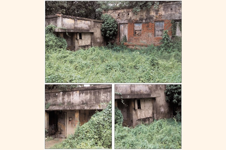 Photos show poet Bande Ali Mia's ancestral house has been covered with herbs and grass at Radhanagar-Narayanpur in Pabna district town